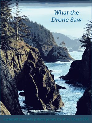 cover image of What the Drone Saw